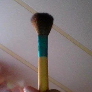 blush brush